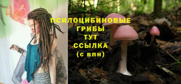 бутират Арсеньев