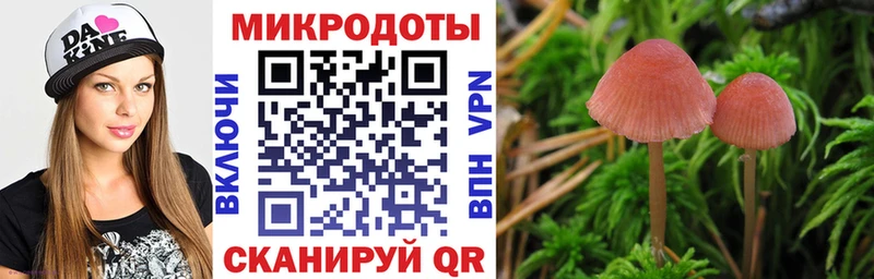 Галлюциногенные грибы Psilocybe Мензелинск